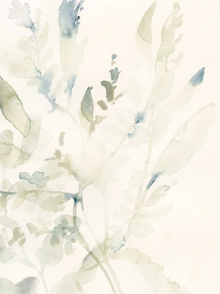 Picture of ELEGANT SEA KELP I