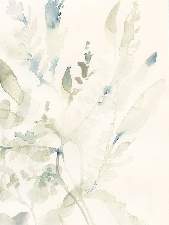 Picture of ELEGANT SEA KELP I