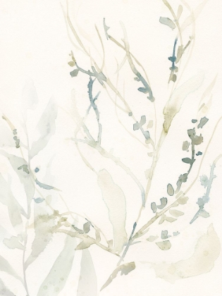 Picture of ELEGANT SEA KELP II