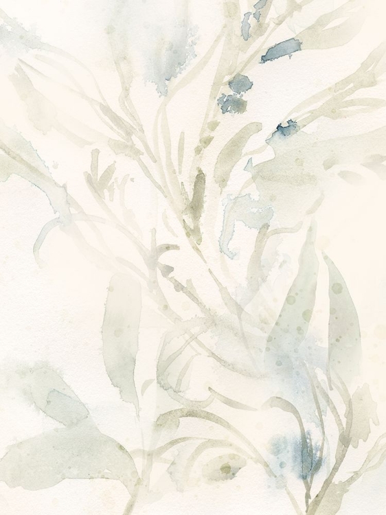 Picture of ELEGANT SEA KELP IV