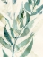 Picture of UNDERWATER BOTANY I