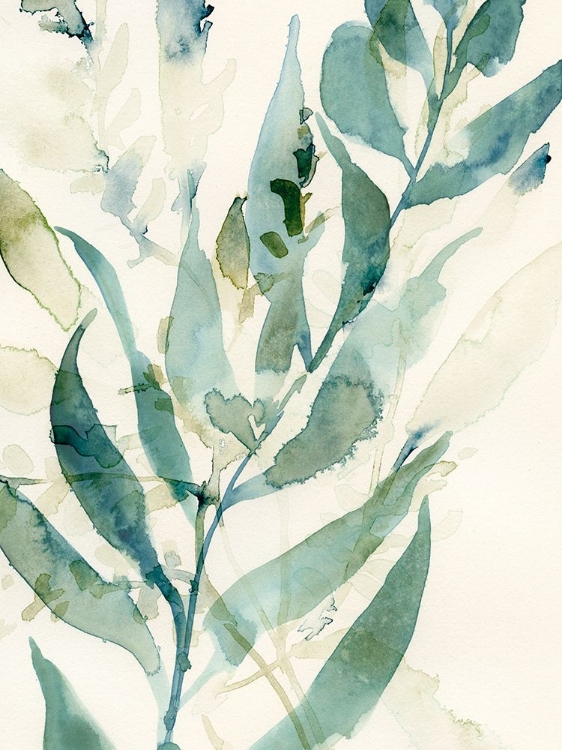 Picture of UNDERWATER BOTANY I