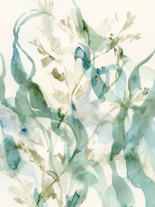 Picture of UNDERWATER BOTANY II