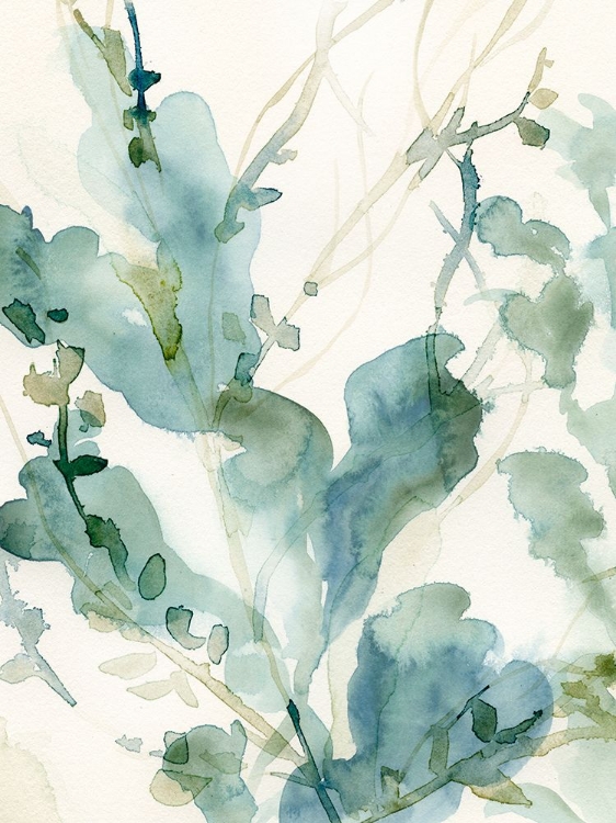 Picture of UNDERWATER BOTANY IV