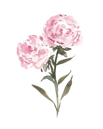 Picture of JANUARY CANATION