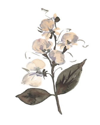 Picture of APRIL SWEETPEA