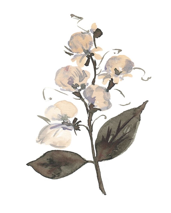 Picture of APRIL SWEETPEA