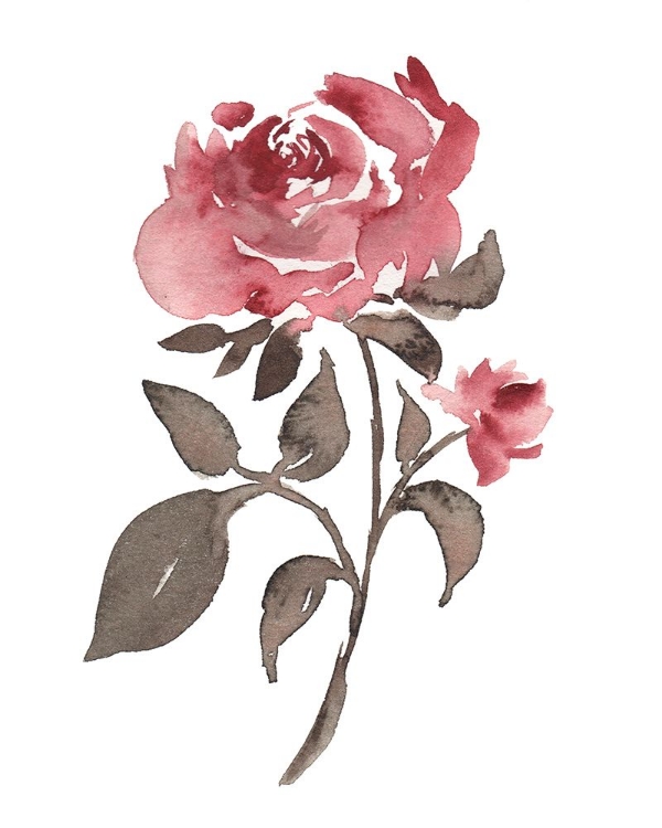 Picture of JUNE ROSE