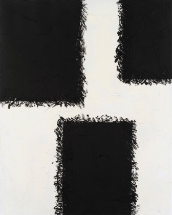 Picture of MONOCHROME FIELDS III