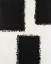Picture of MONOCHROME FIELDS III
