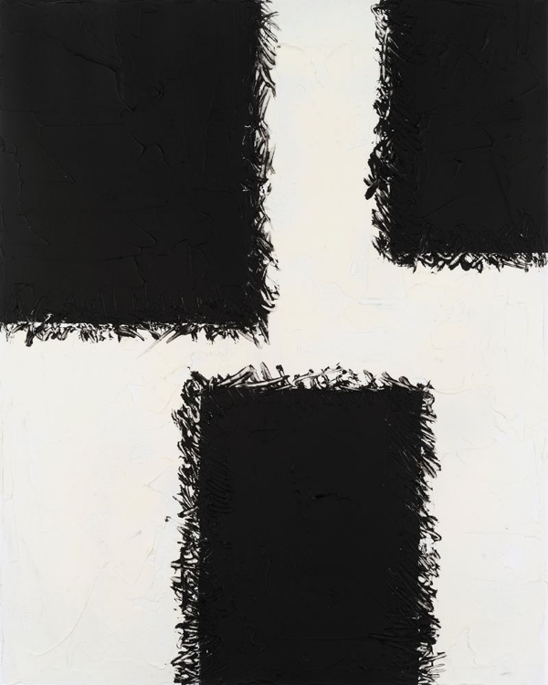 Picture of MONOCHROME FIELDS III