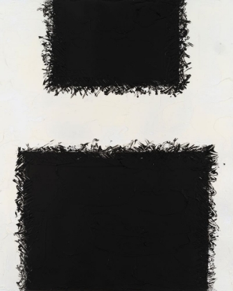 Picture of MONOCHROME FIELDS IV