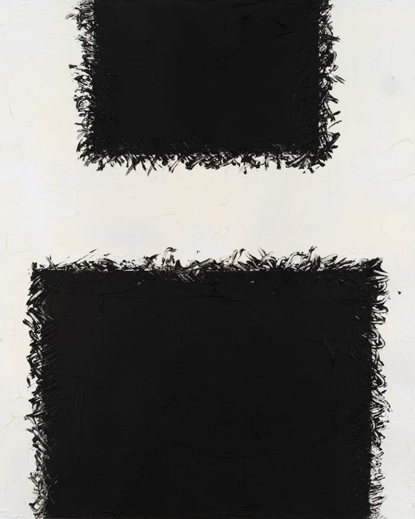 Picture of MONOCHROME FIELDS IV