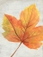 Picture of WOODLAND COLORS I
