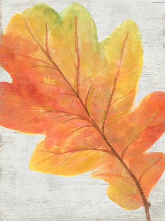 Picture of WOODLAND COLORS II