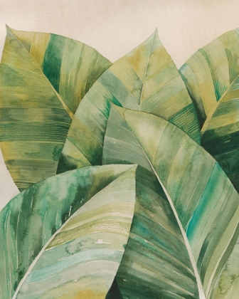 Picture of TROPIC DEPTH II