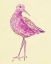 Picture of SEABIRD  I