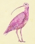 Picture of SEABIRD  II