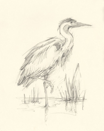 Picture of WATERBIRD SKETCHBOOK STUDY I