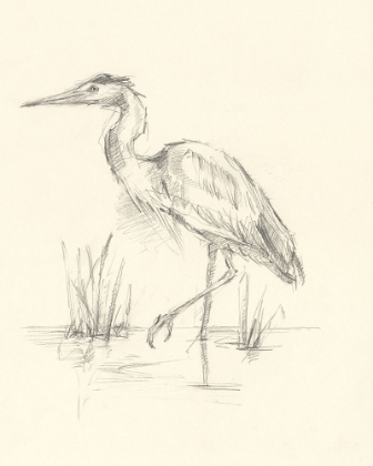 Picture of WATERBIRD SKETCHBOOK STUDY II