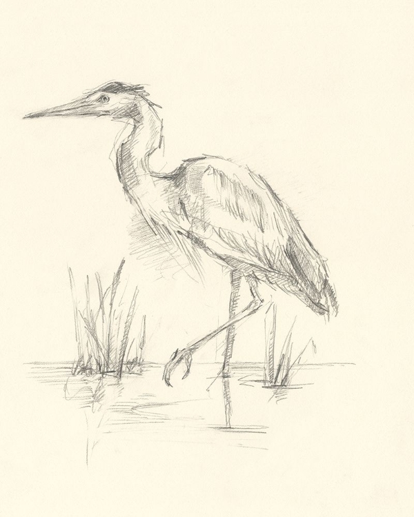 Picture of WATERBIRD SKETCHBOOK STUDY II
