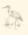 Picture of WATERBIRD SKETCHBOOK STUDY II