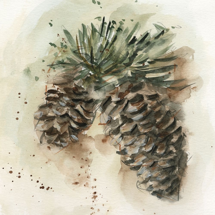 Picture of WATERCOLOR PINECONE STUDY I