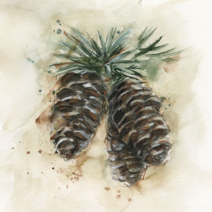 Picture of WATERCOLOR PINECONE STUDY II
