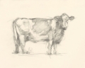 Picture of BOVINE PENCIL STUDY I
