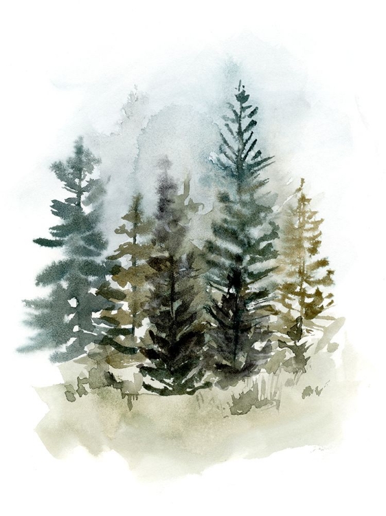 Picture of WASHY TREELINE II