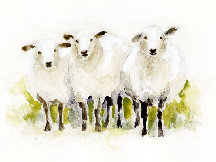Picture of WATERCOLOR SHEEP TRIO I