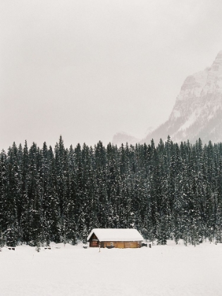 Picture of WINTER TREES IV