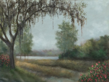 Picture of DREAMY LAKE II