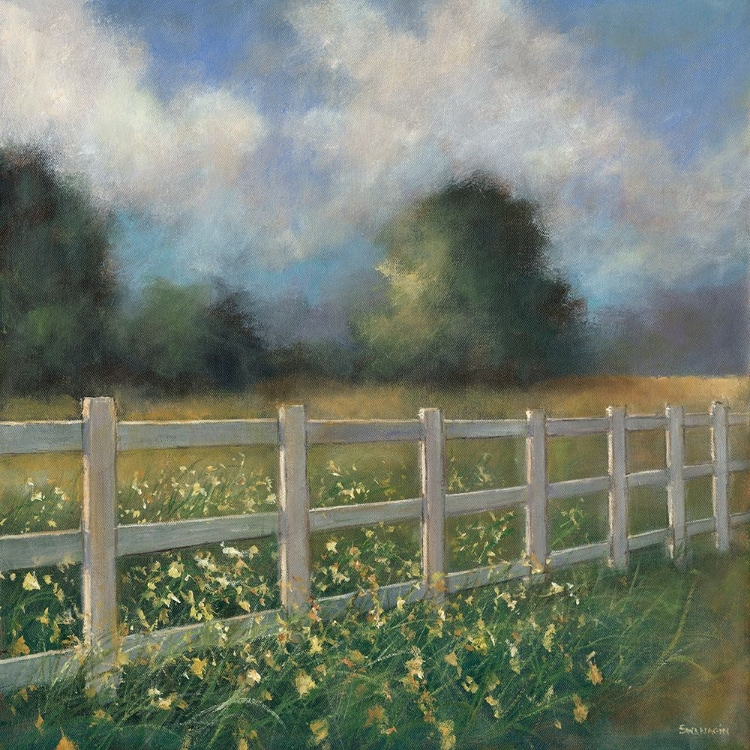 Picture of BACK YARD FENCE