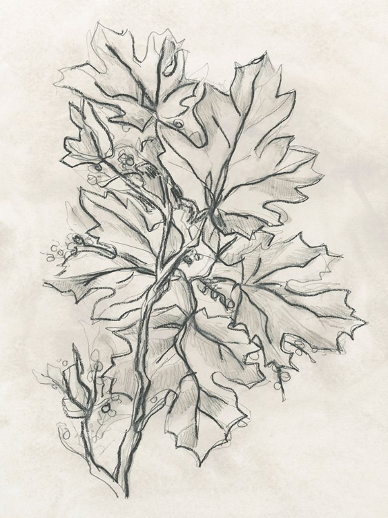 Picture of VINTAGE LODGE LEAVES II