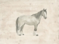 Picture of ANTIQUE EQUINE SKETCH I