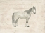 Picture of ANTIQUE EQUINE SKETCH I