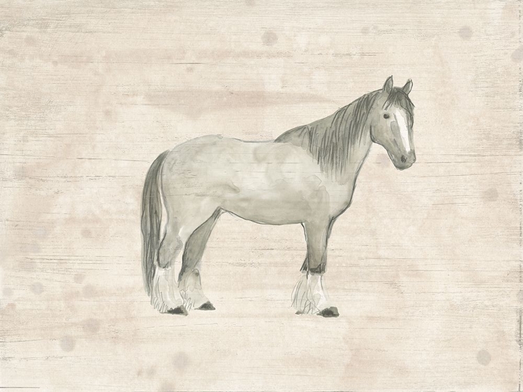 Picture of ANTIQUE EQUINE SKETCH I