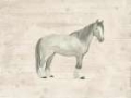 Picture of ANTIQUE EQUINE SKETCH I