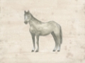 Picture of ANTIQUE EQUINE SKETCH II
