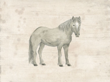 Picture of ANTIQUE EQUINE SKETCH III