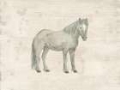 Picture of ANTIQUE EQUINE SKETCH III