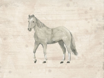 Picture of ANTIQUE EQUINE SKETCH IV
