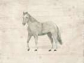 Picture of ANTIQUE EQUINE SKETCH IV