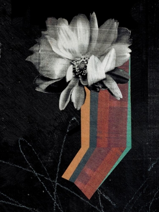 Picture of SPACE DAHLIA I