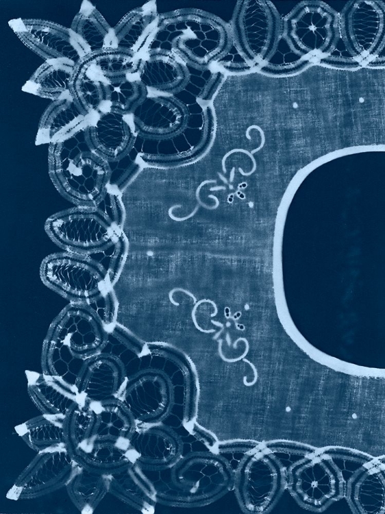 Picture of CYANOTYPE ARTIFACT I