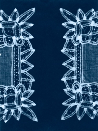 Picture of CYANOTYPE ARTIFACT II