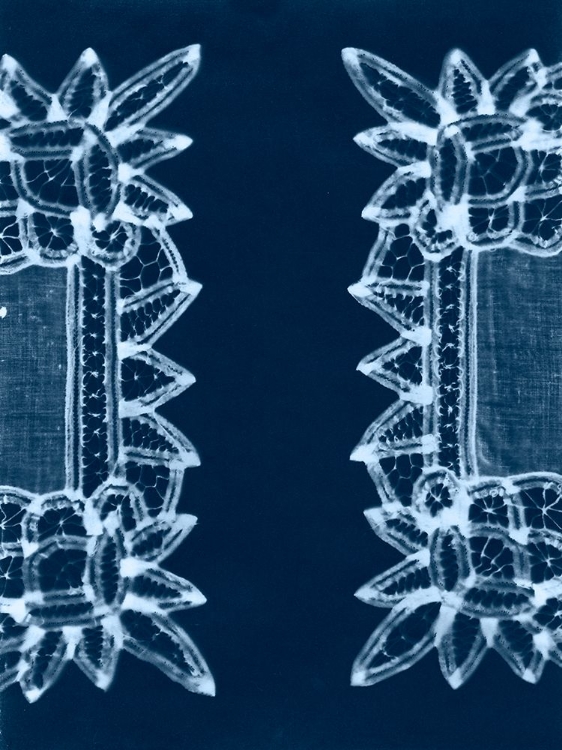 Picture of CYANOTYPE ARTIFACT II