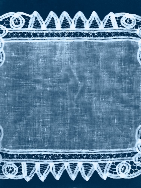 Picture of CYANOTYPE ARTIFACT III