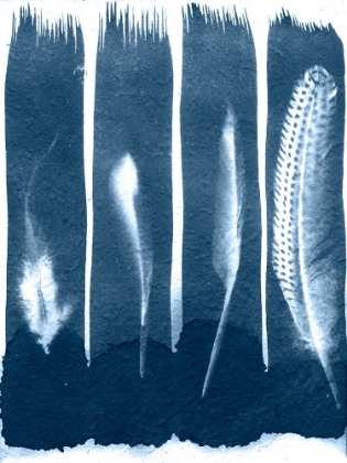 Picture of CYANOTYPE FEATHER TRIO I